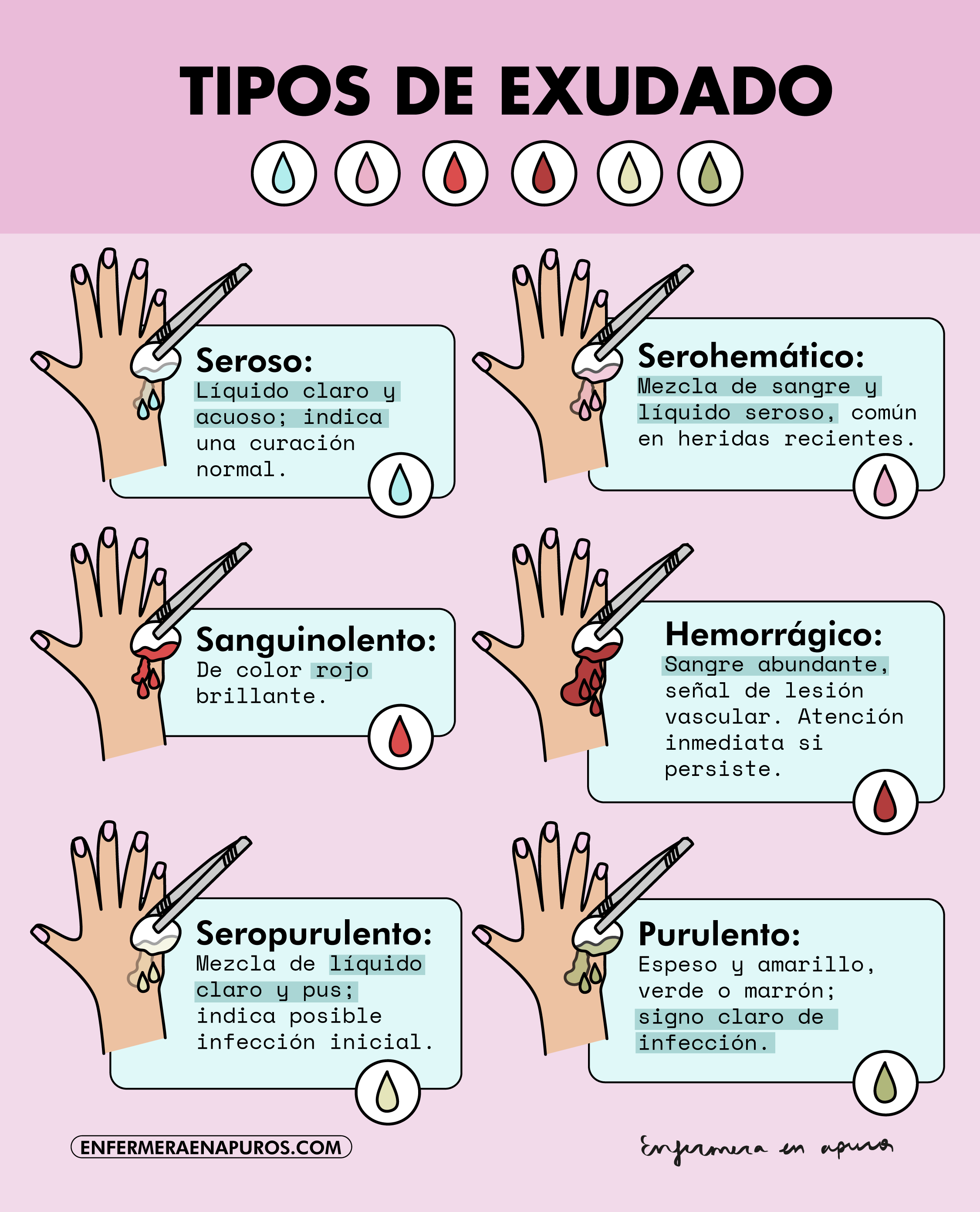 Tipos de exudado de heridas