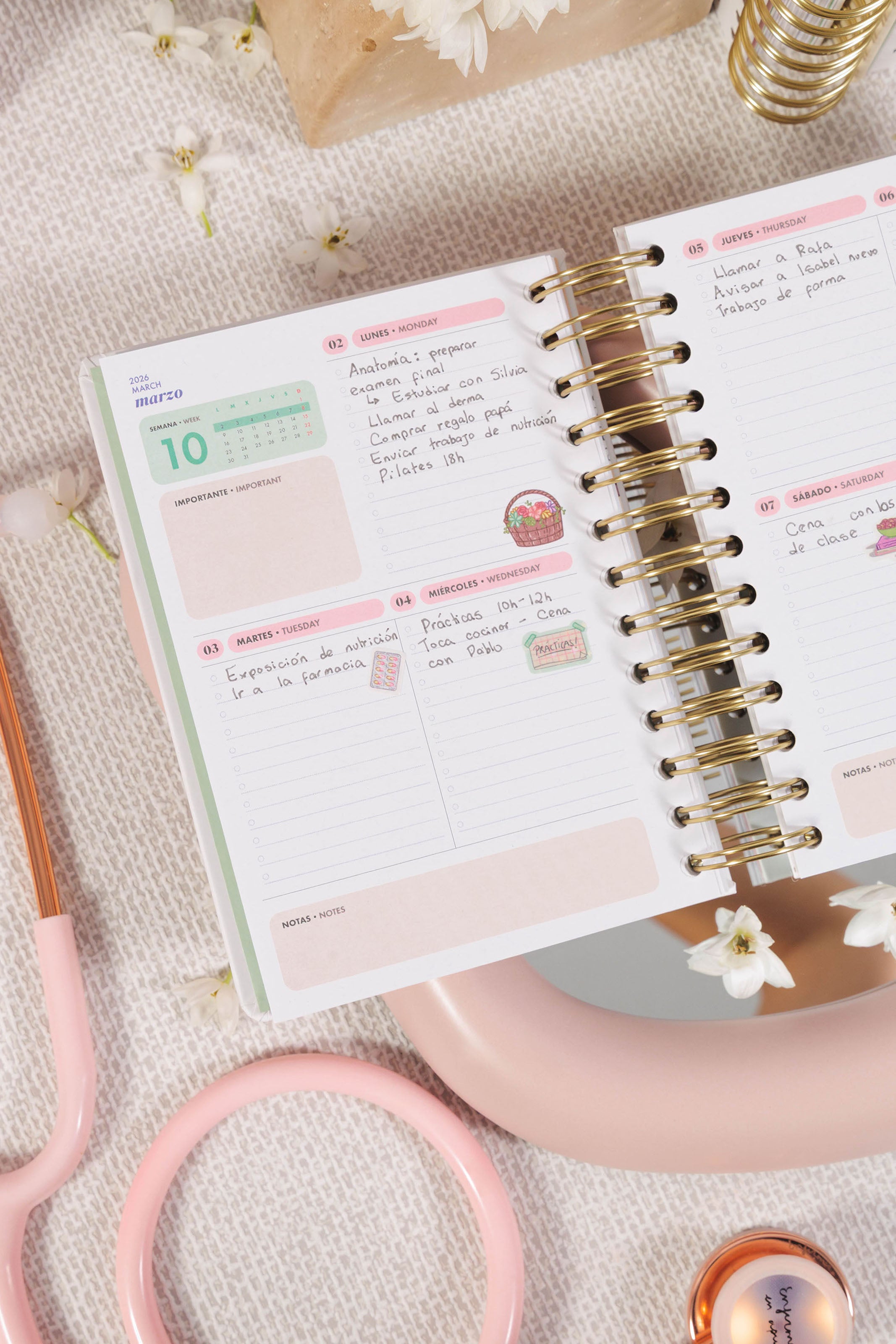 MINI ACADEMIC PLANNER 25/26 - EXCLUSIVE WEB EDITION
