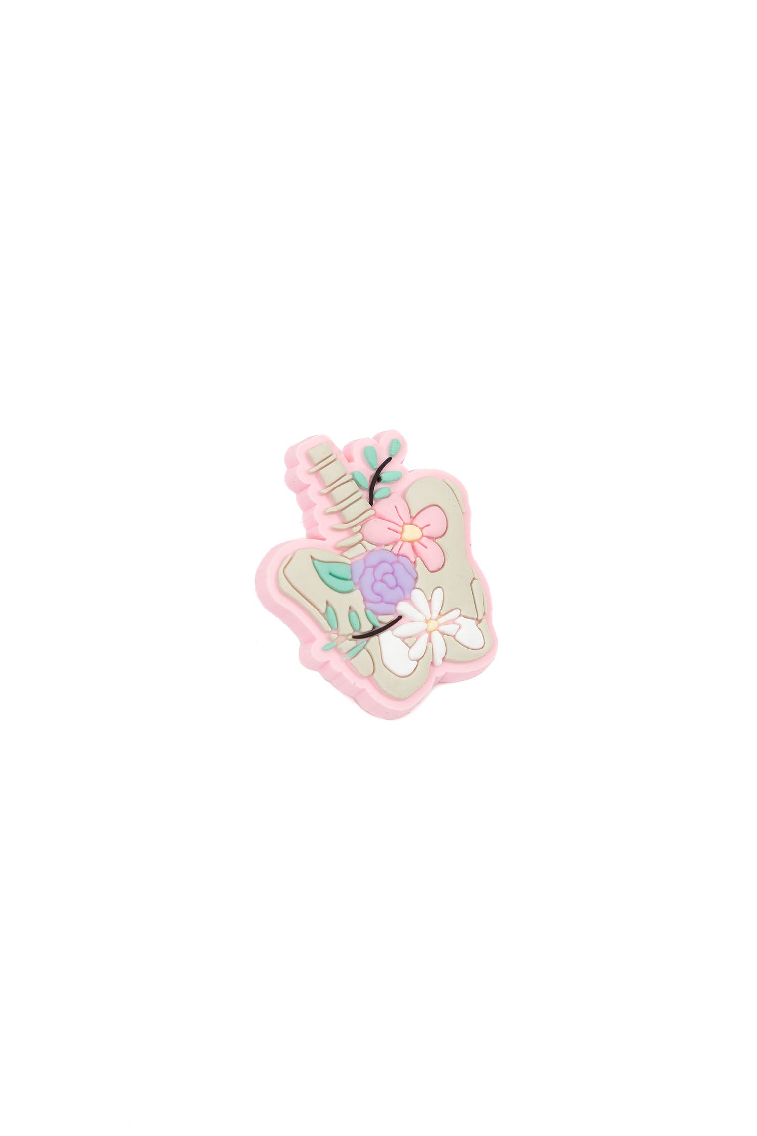 PIN PELVIS