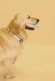 COLLAR PERRO COSAS DE ENFERMEROS - L