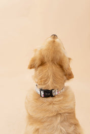 COLLAR PERRO COSAS DE ENFERMEROS - L