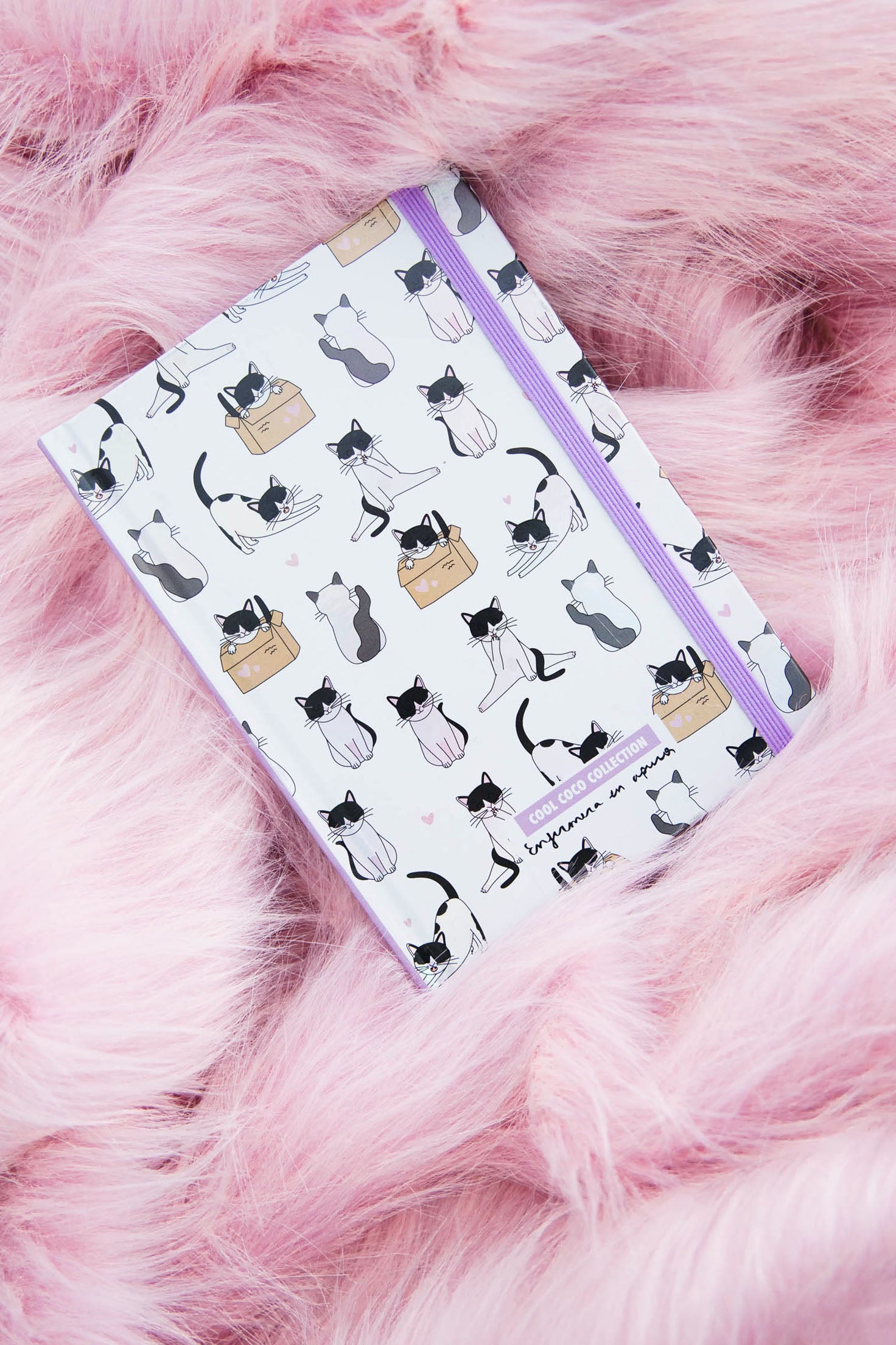 cococollection-3174.jpg