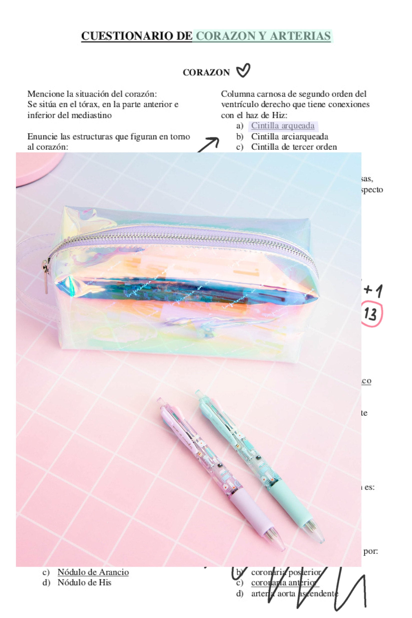 pruebaestuche_Mesa_de_trabajo_1.jpg