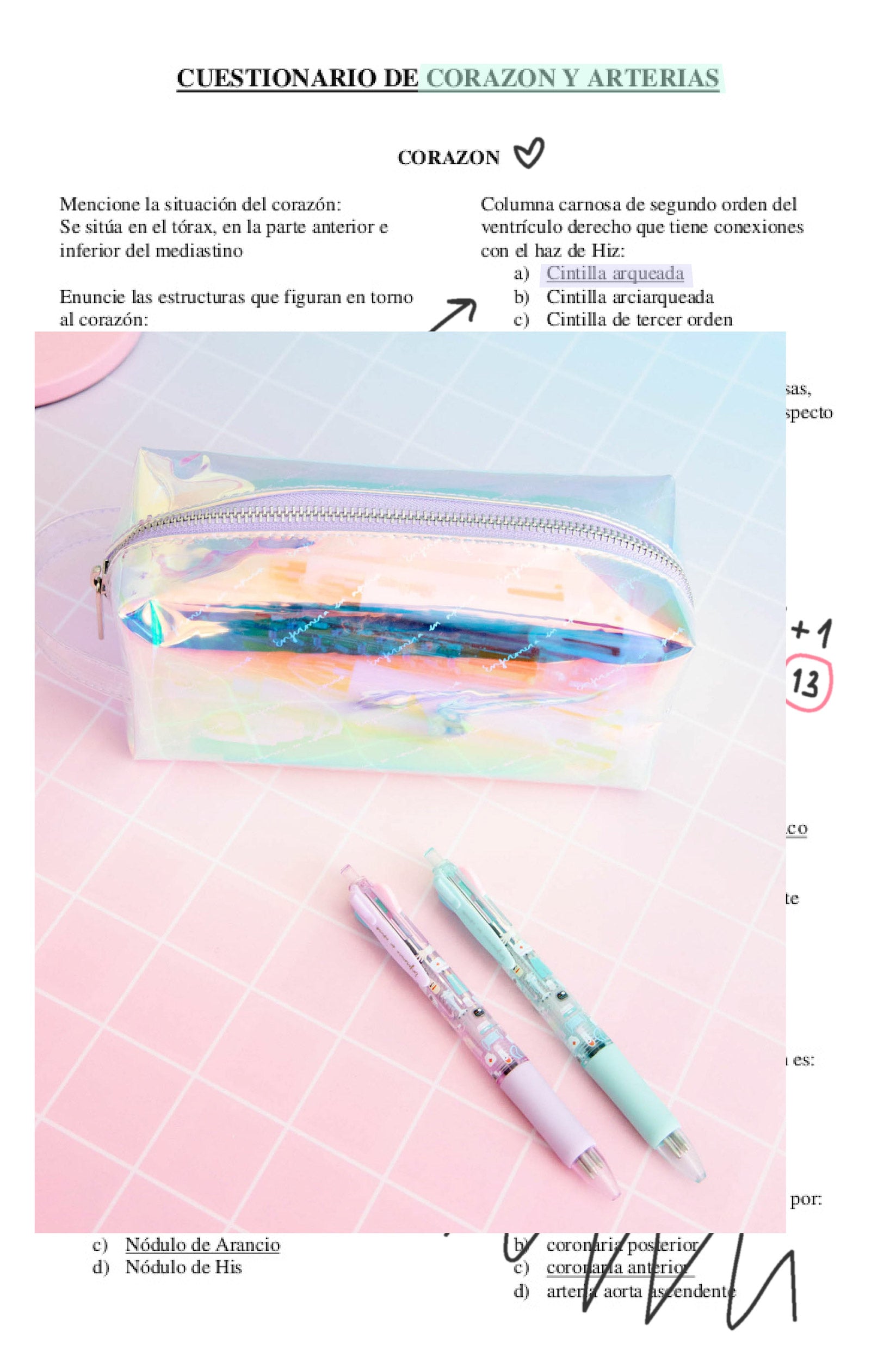 CASE IRIDISCENT FANTASY