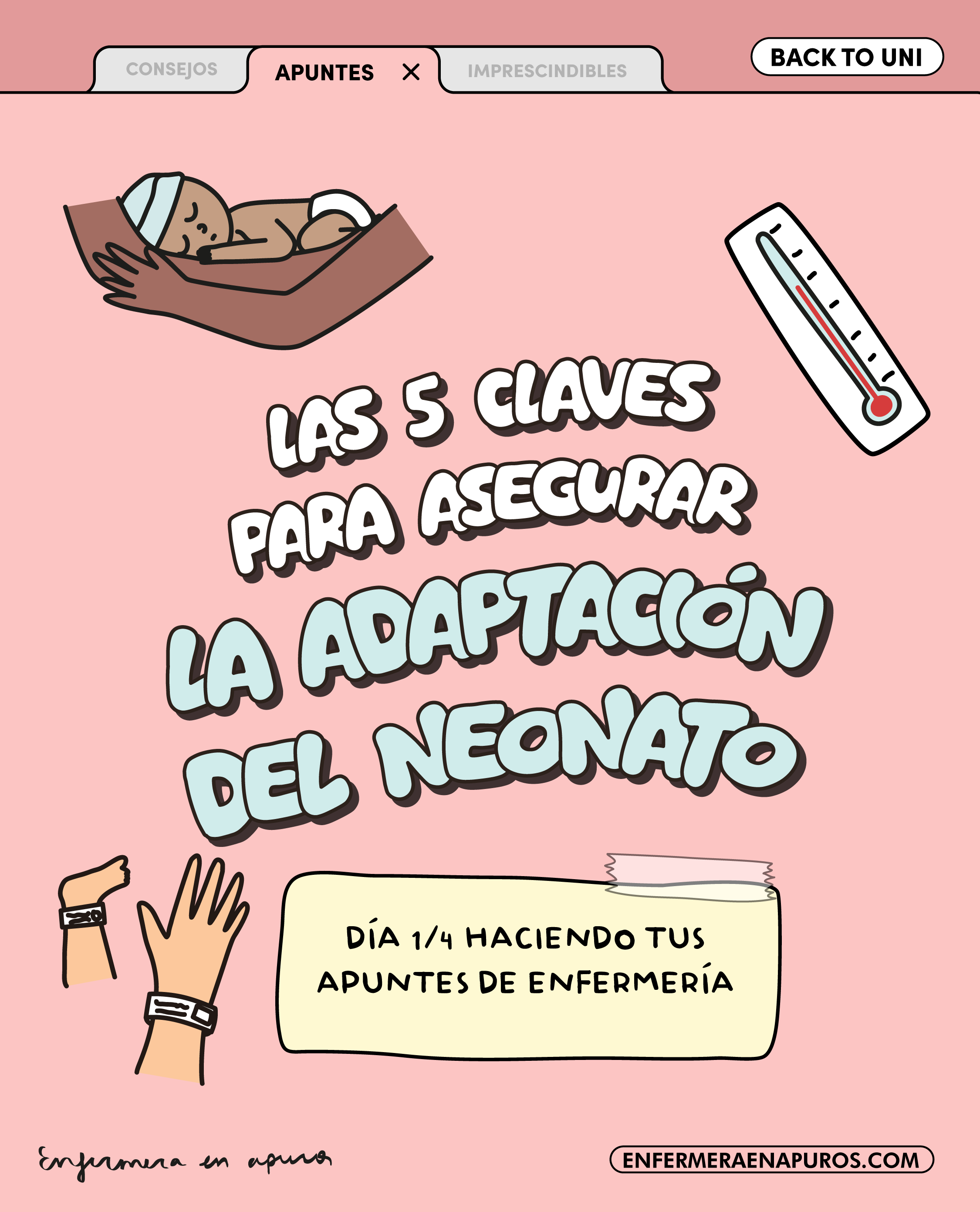 Claves para asegurar la adaptación de un neonato