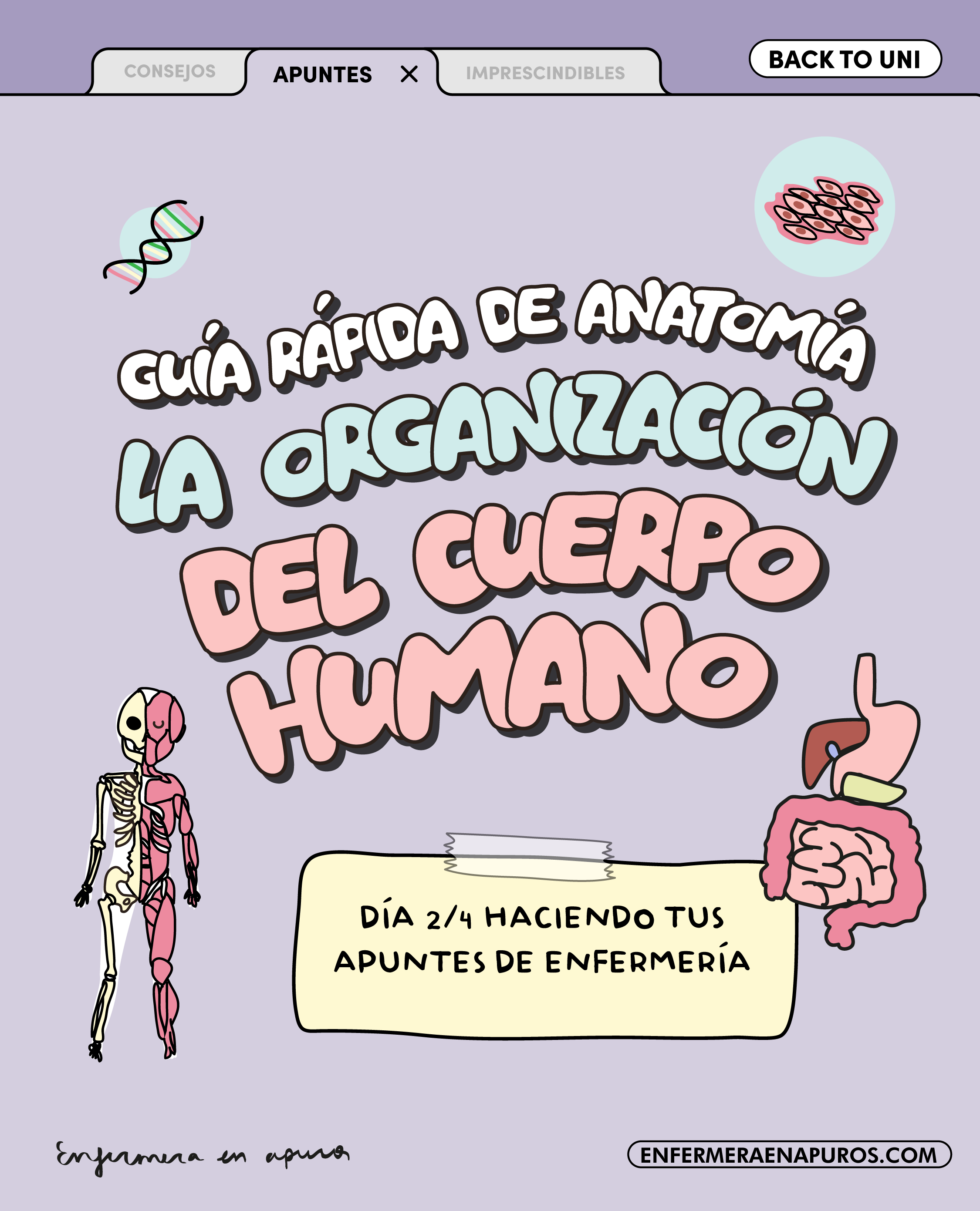 La organización del cuerpo humano