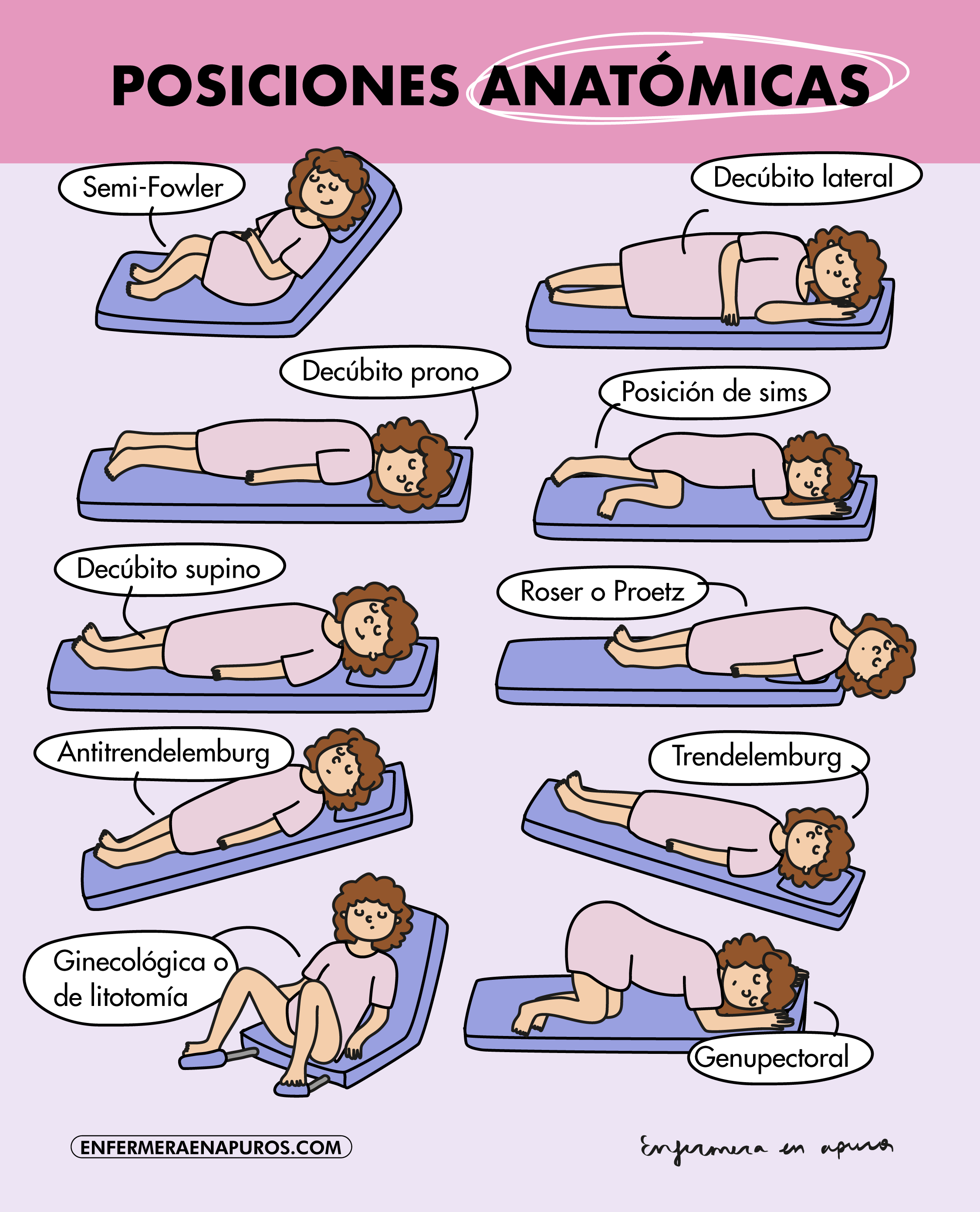 Posiciones anatómicas: Guía ilustrada – Enfermera en apuros