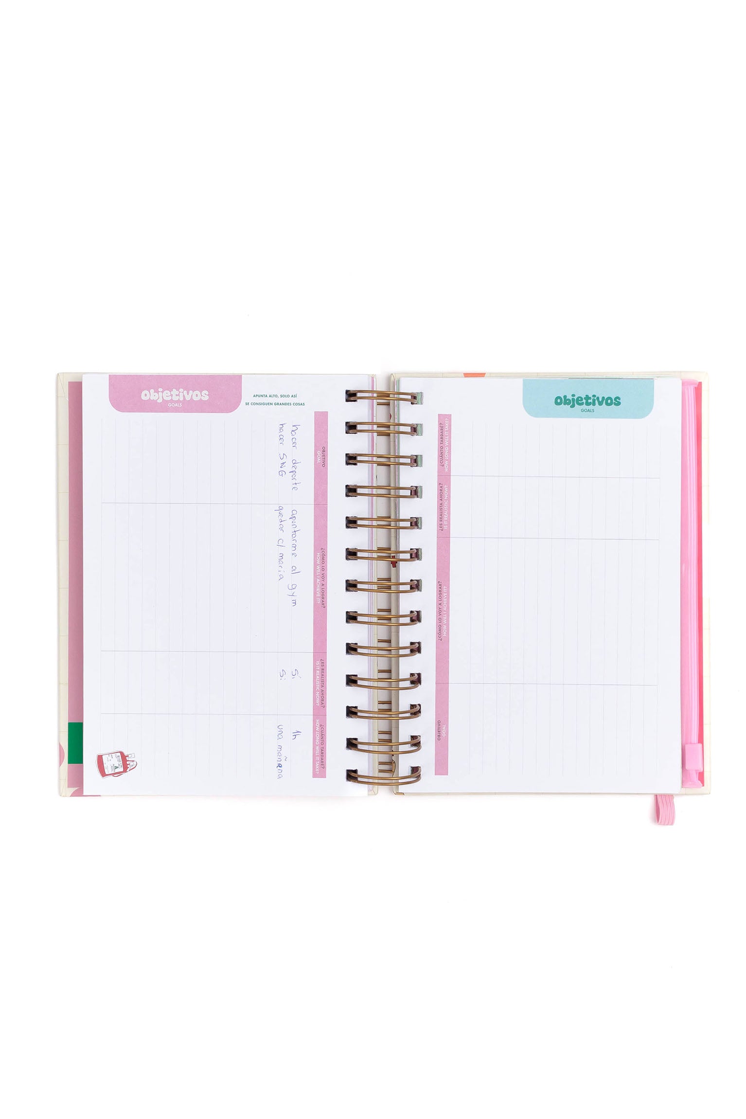 ANNUAL RUSHED PLANNER 2025 - MINI