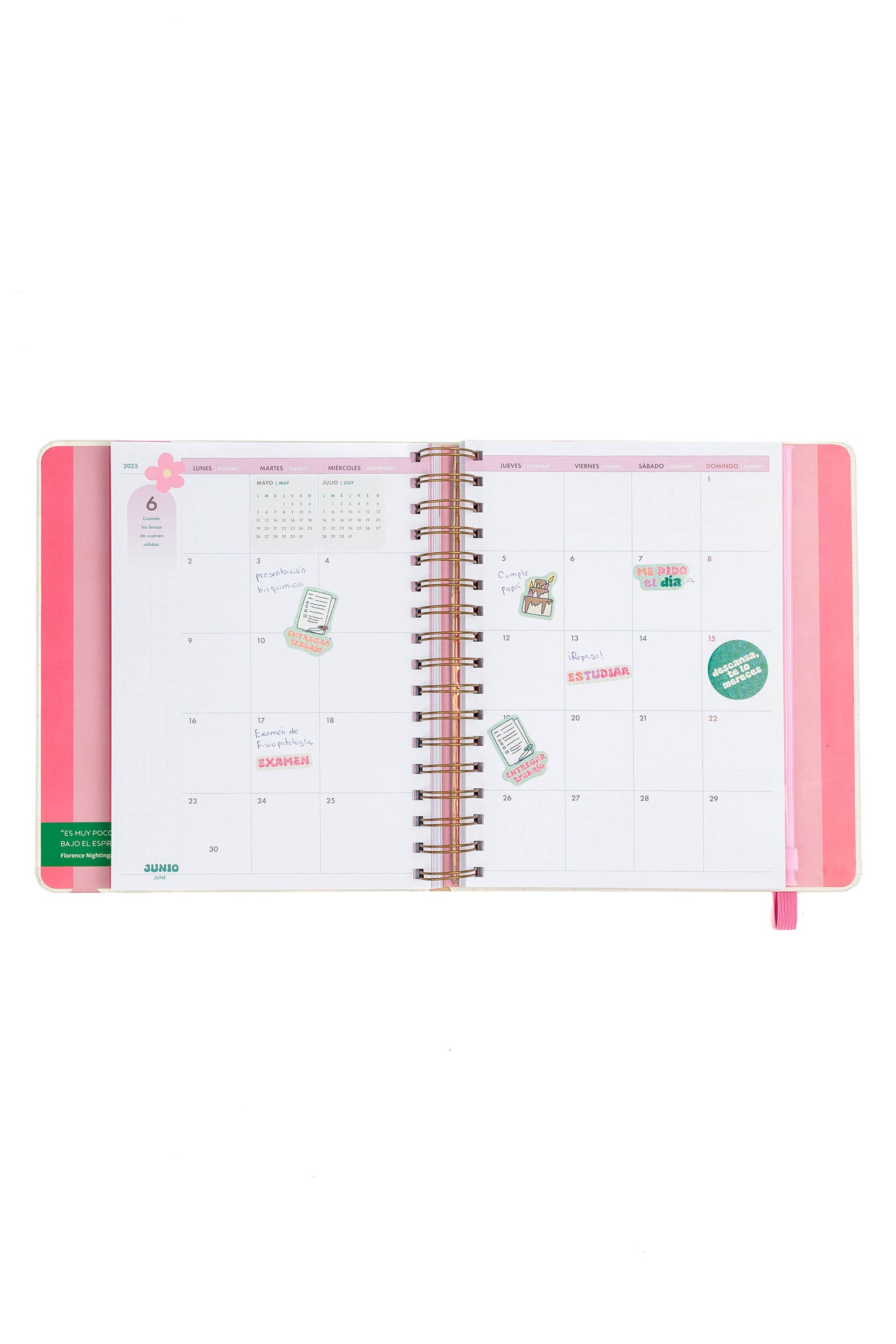 ANNUAL RUSHED PLANNER 2025