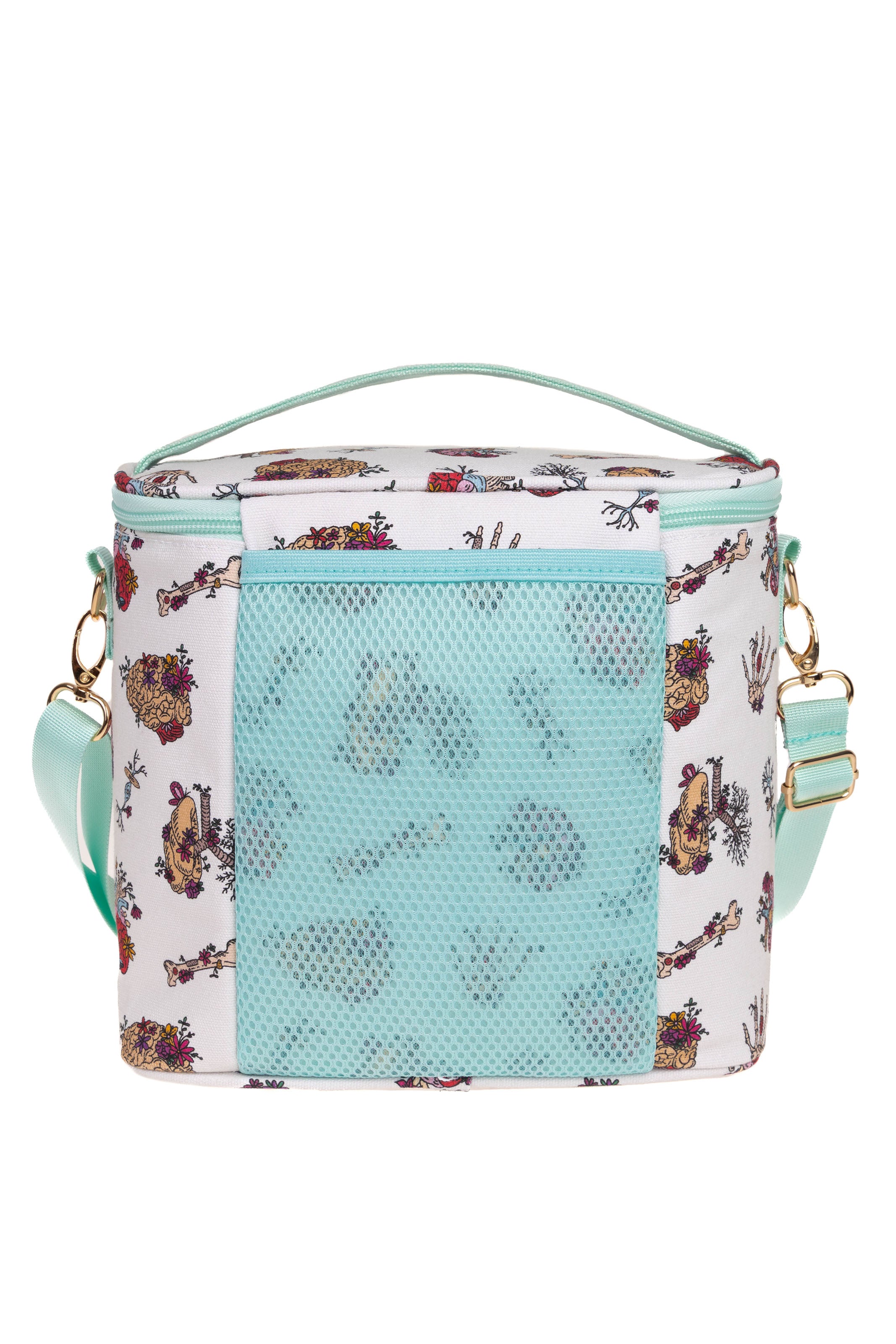 LUNCH BOX - ANATOMY🫀