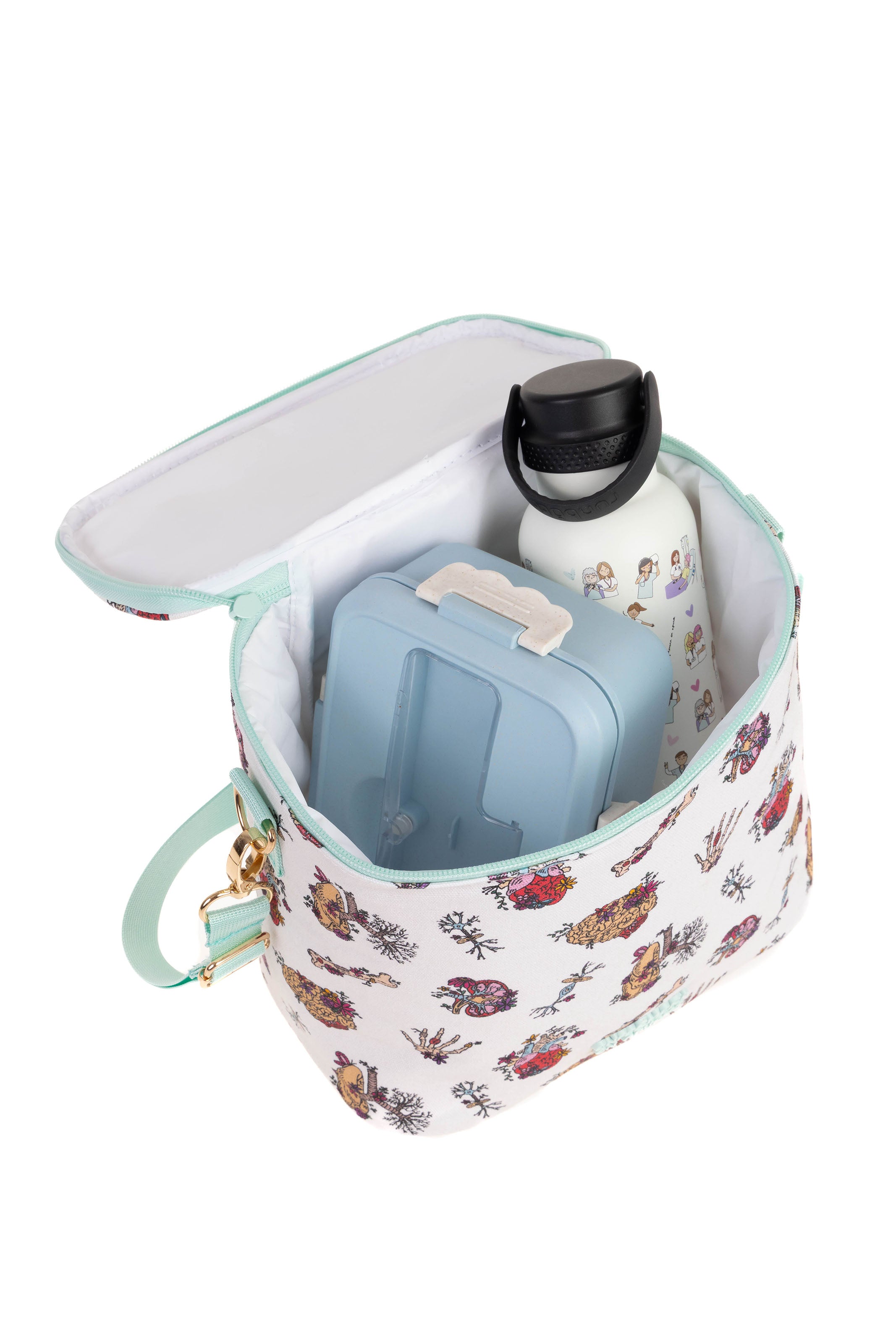 LUNCH BOX - ANATOMY🫀