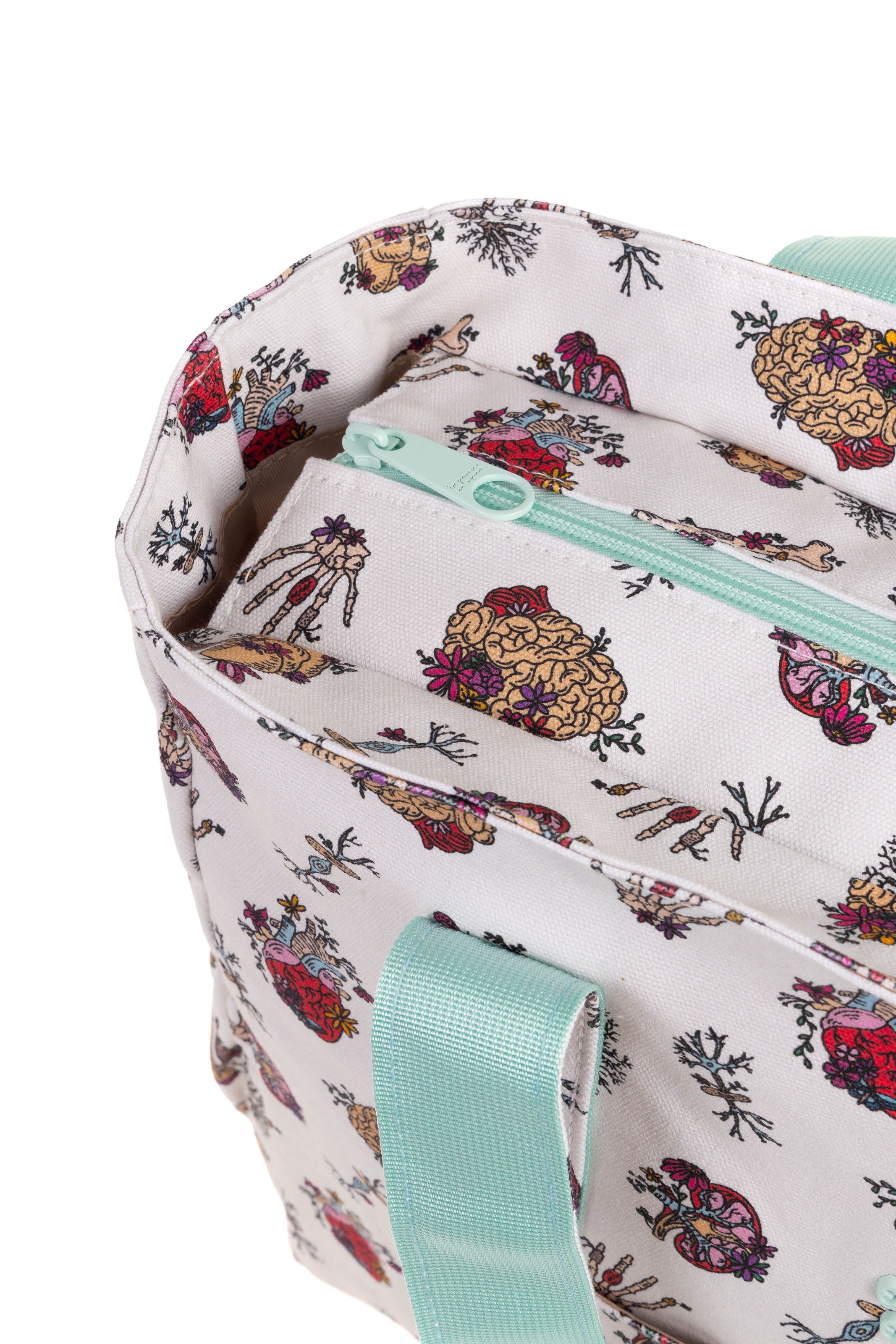 BOLSO MULTIBOLSILLOS + MONEDERO - ANATOMÍA🫀