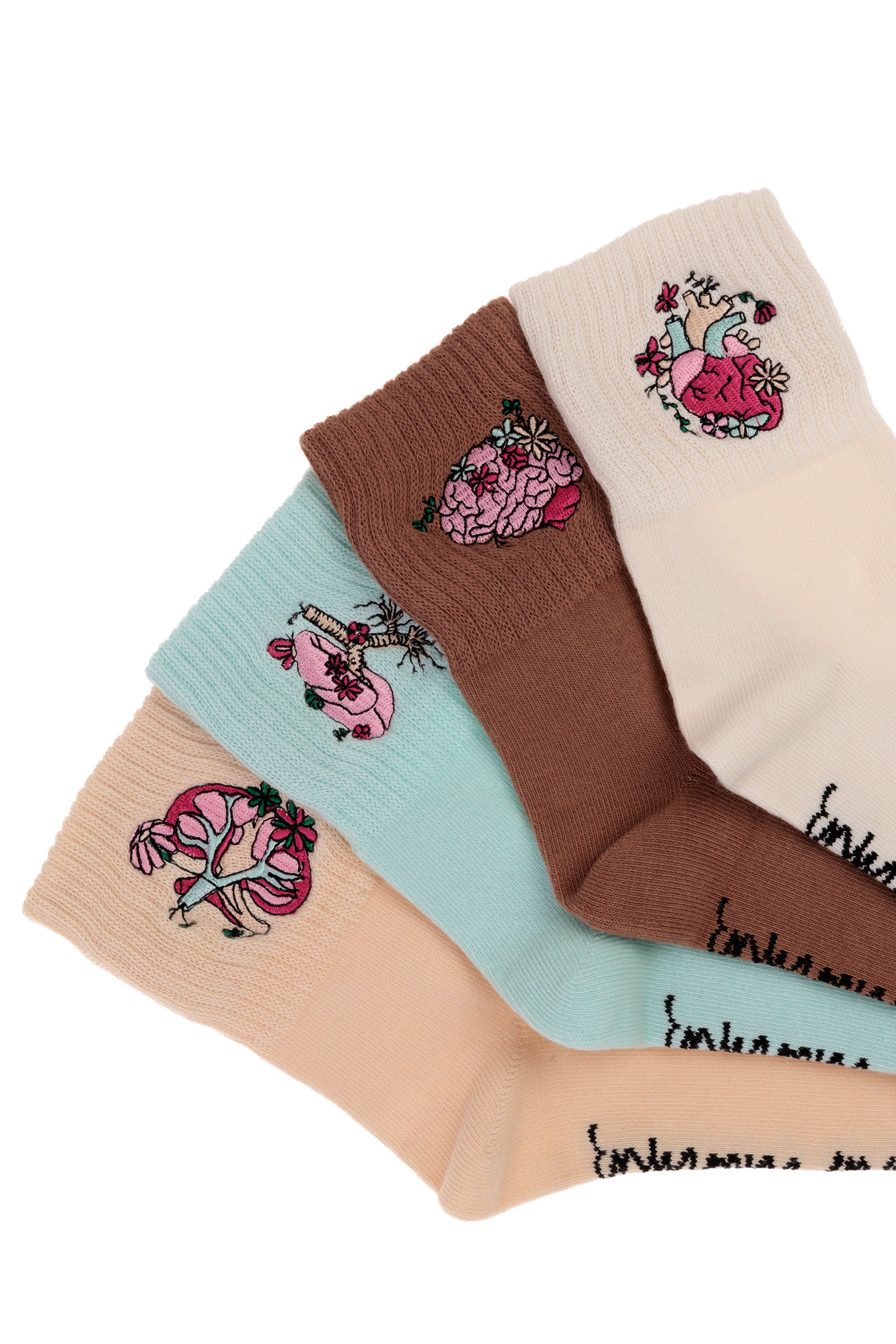 4 PACK SOCKS - ANATOMY🫀