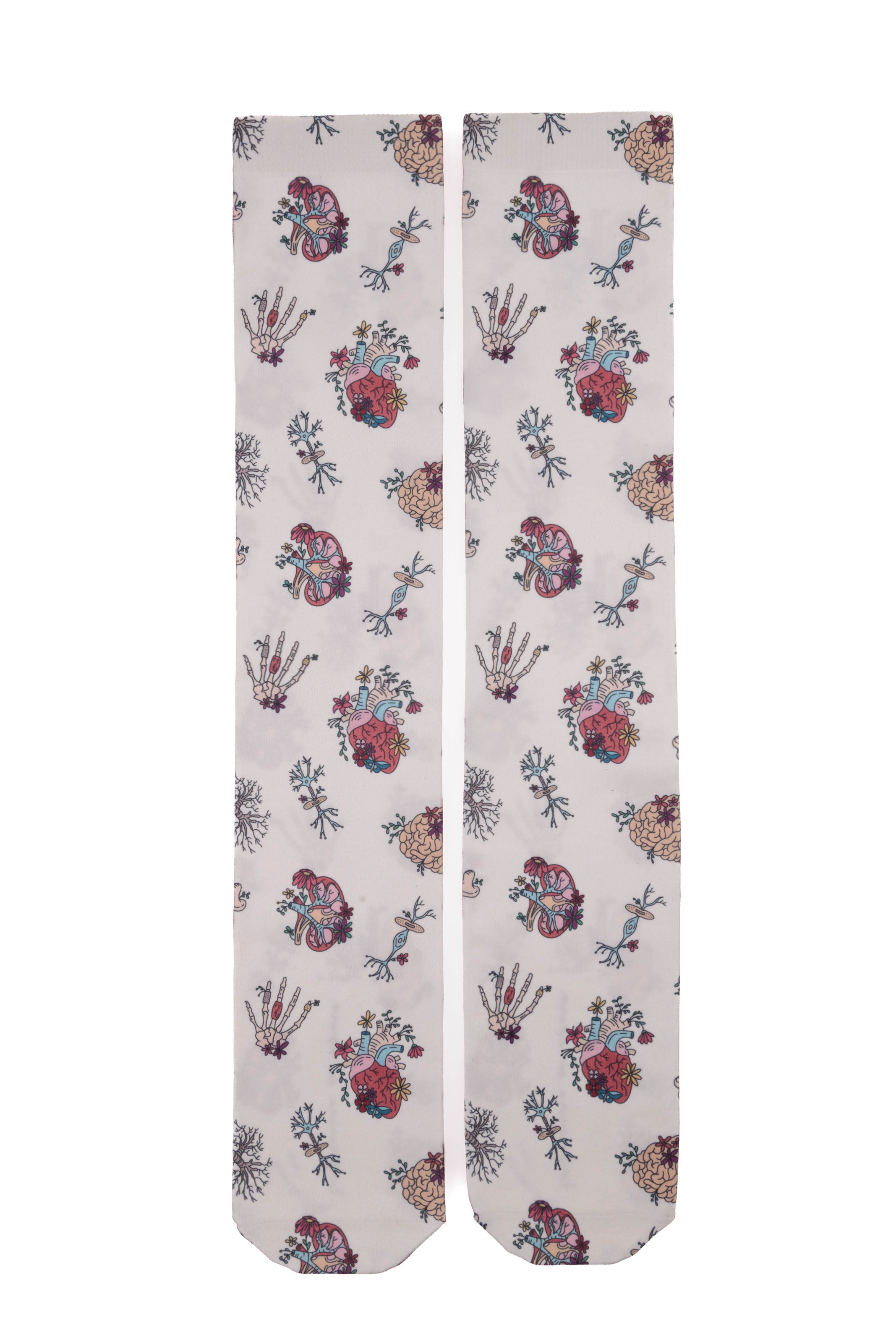 COMPRESSION SOCKS - ANATOMY🫀