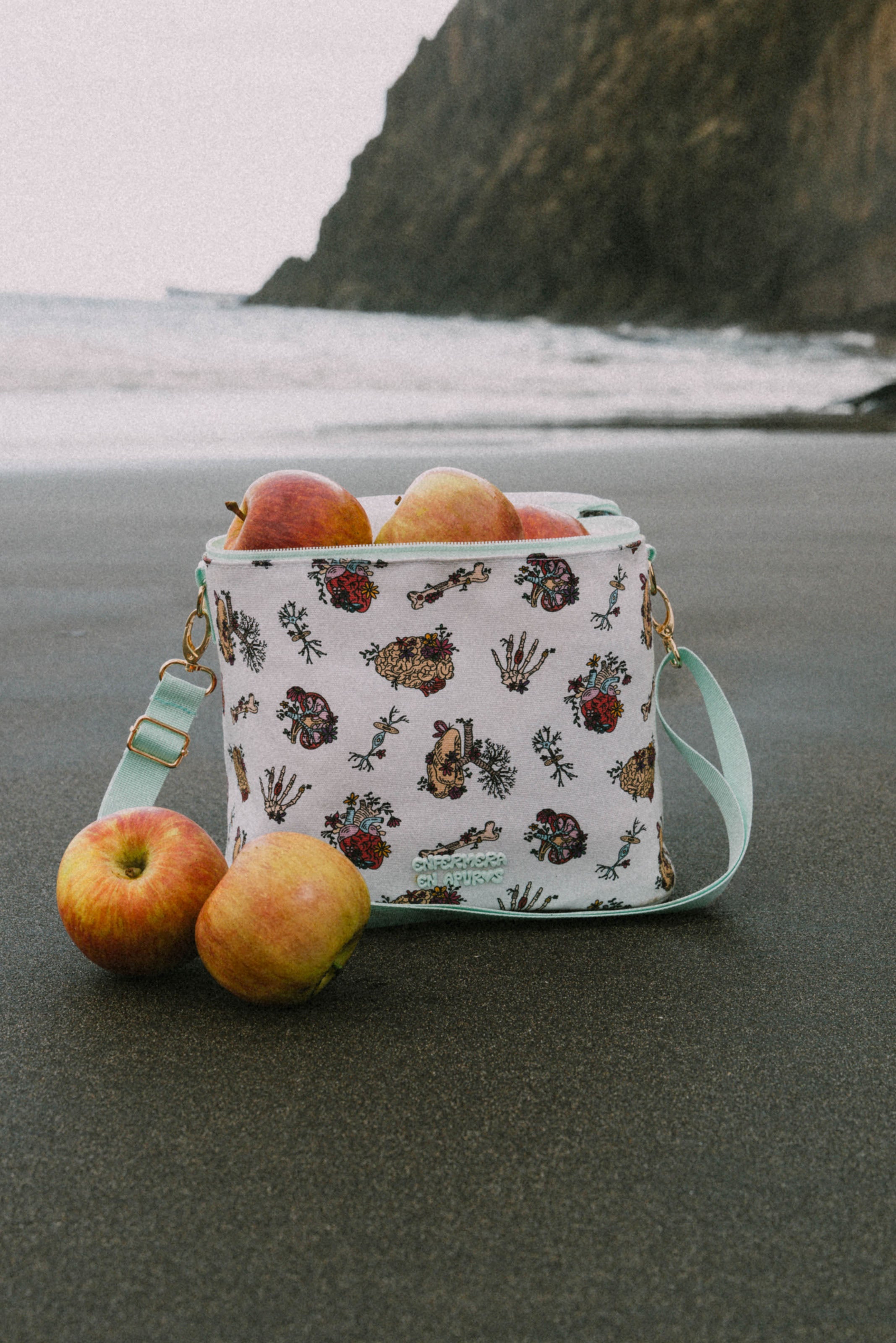 LUNCH BOX - ANATOMY🫀