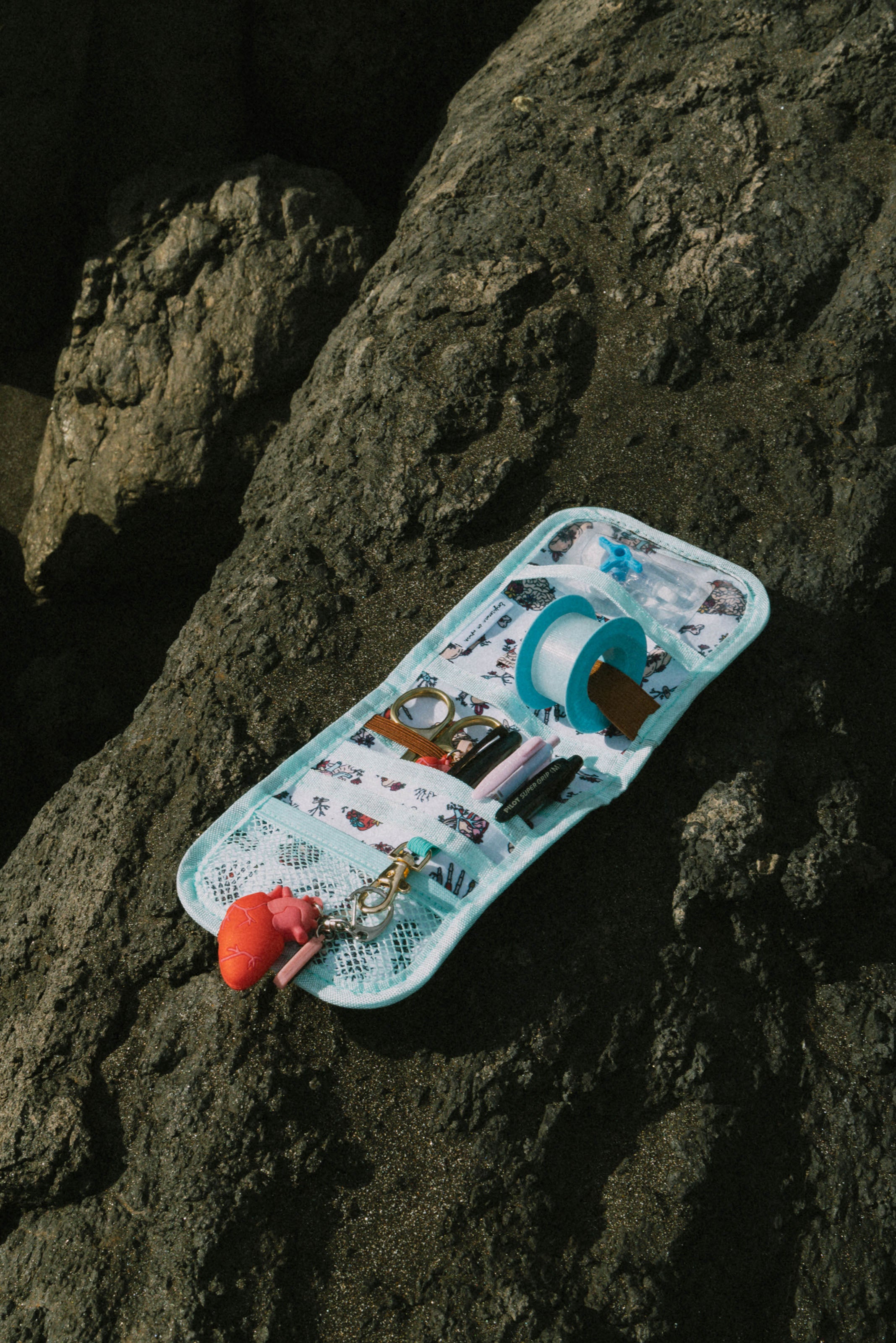 POCKET ORGANIZER - ANATOMY🫀