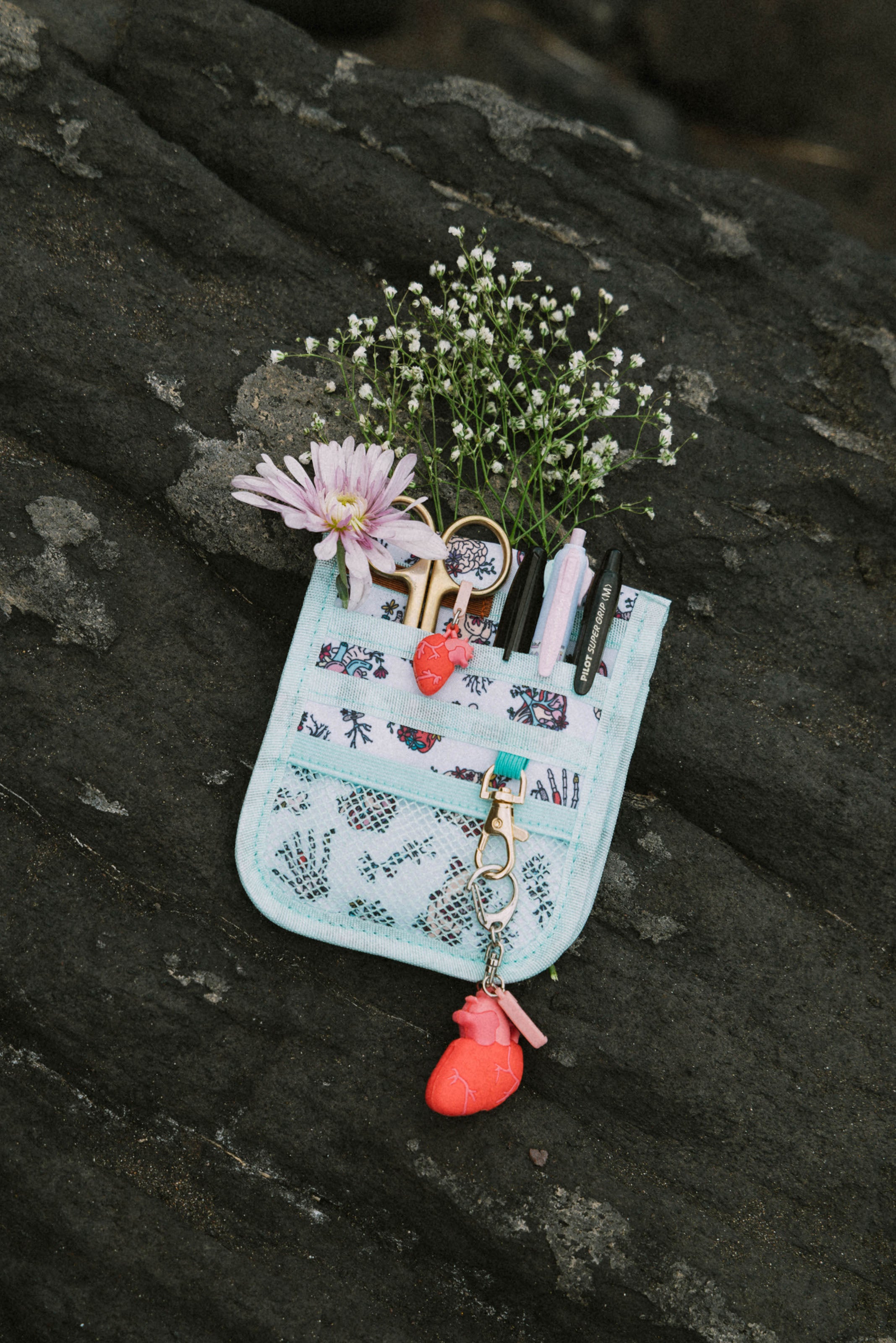 POCKET ORGANIZER - ANATOMY🫀