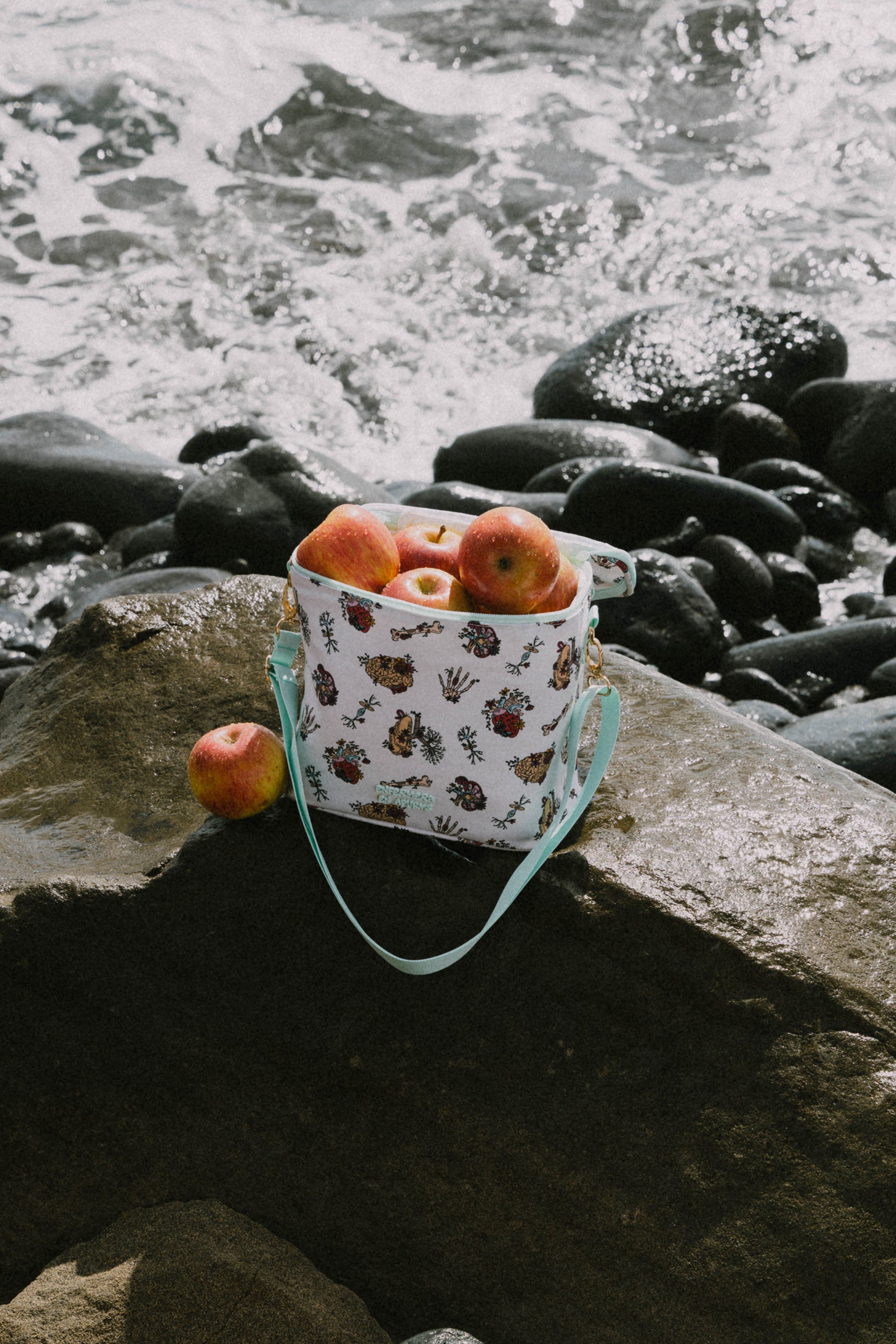 LUNCH BOX - ANATOMY🫀