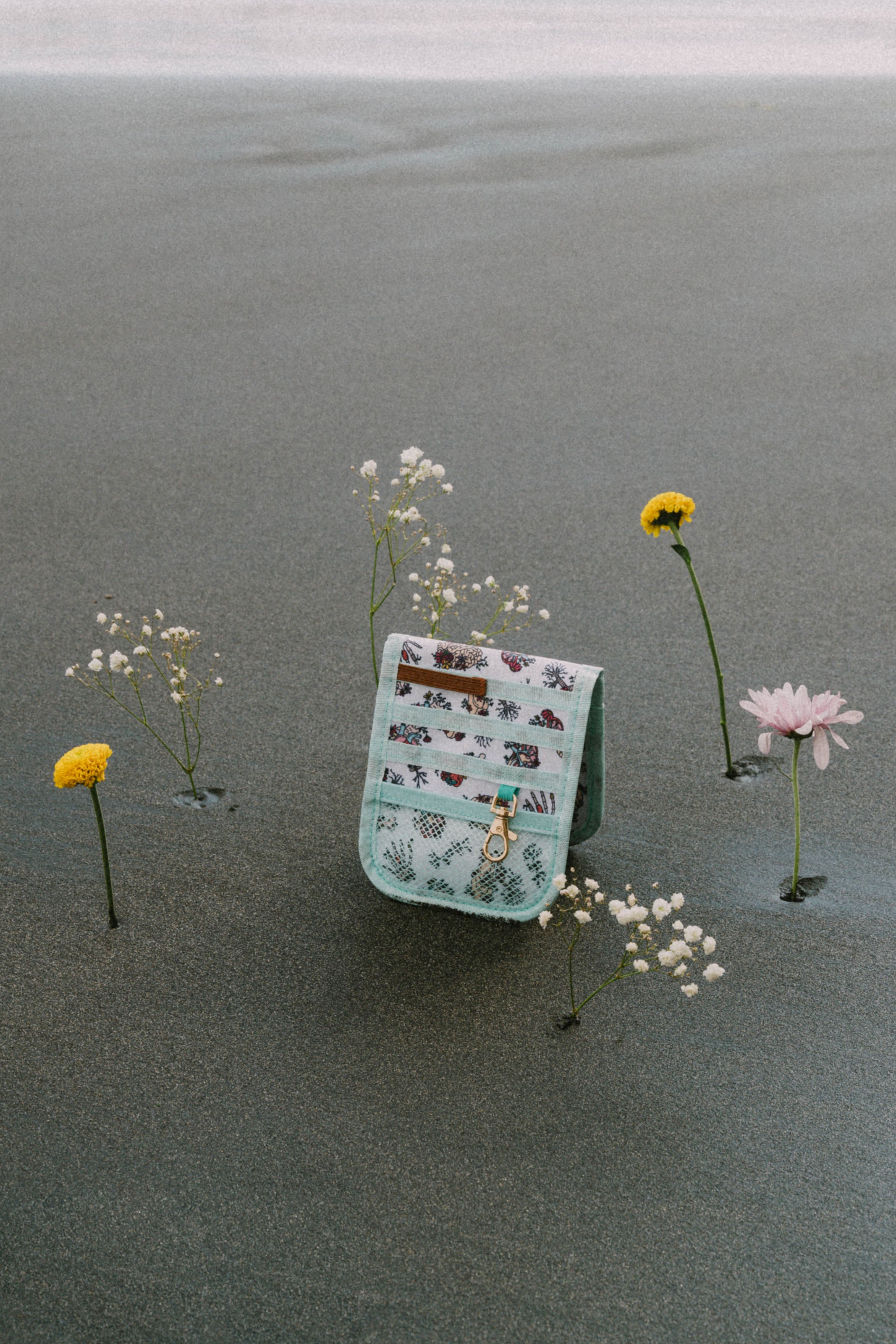 POCKET ORGANIZER - ANATOMY🫀