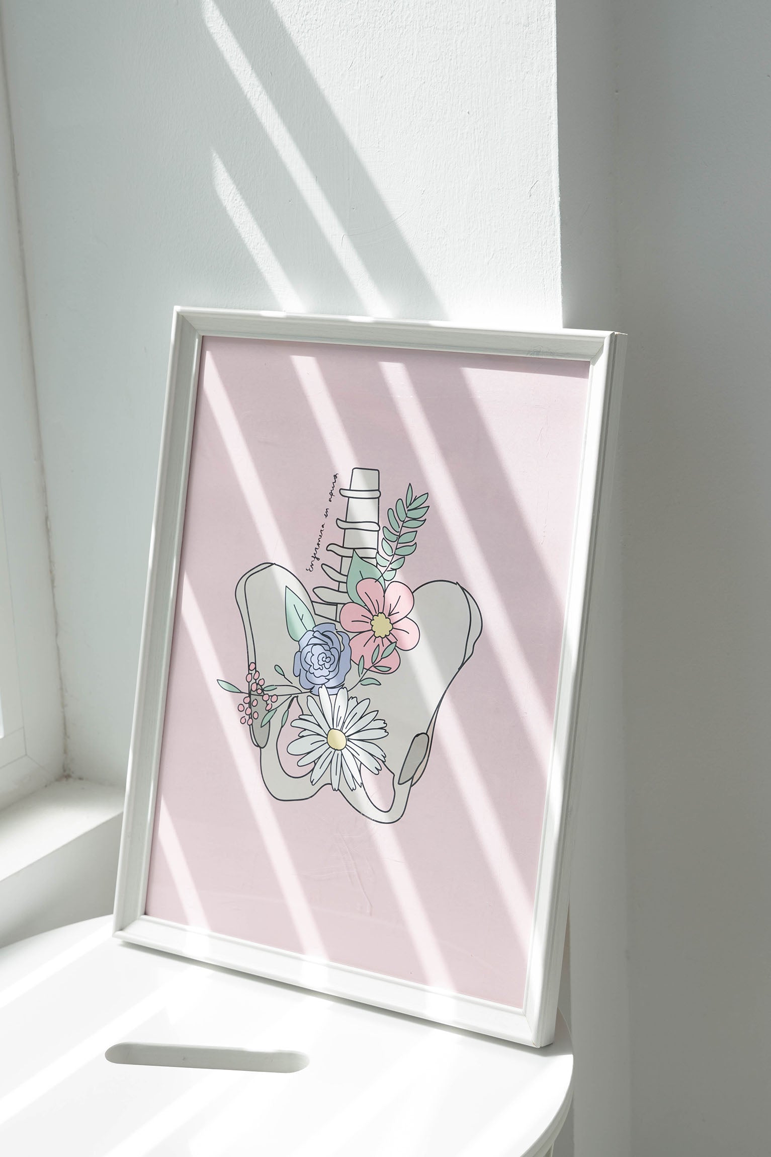 PRINTS PACK "FLORAL ANATOMY"