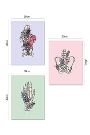 PRINTS PACK "FLORAL ANATOMY"